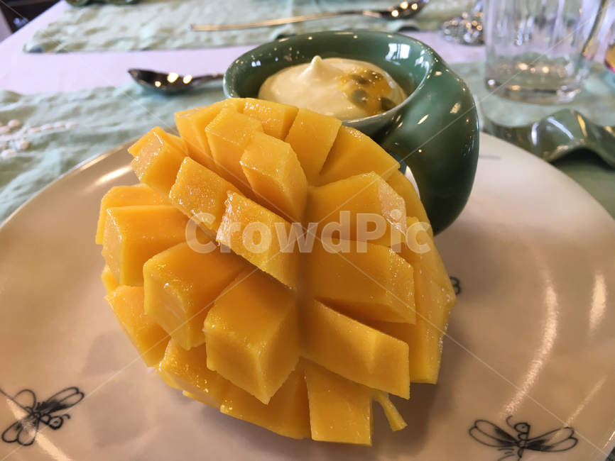 음식,망고,과일,열매,노랑,food,mango,fruit,yellow,음식,식재료,요리,food,cook,meal,dishes,food reserves,과일,열매,fruit