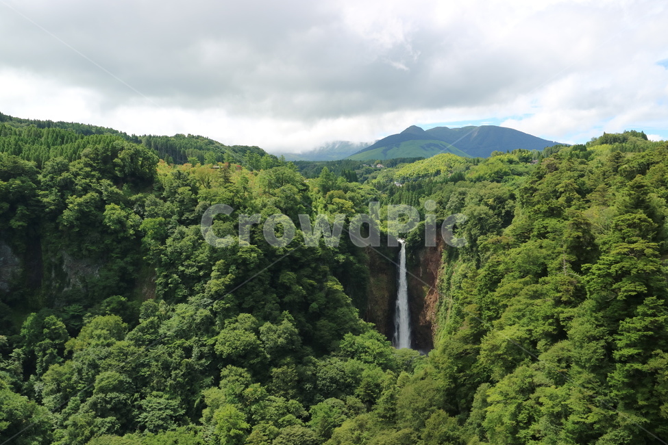 일본,코코노에,폭포,식물,숲,나무,물,대지,초목,plant,nature,자연,outdoors,옥외,water,land,땅,tree,rainforest,waterfall