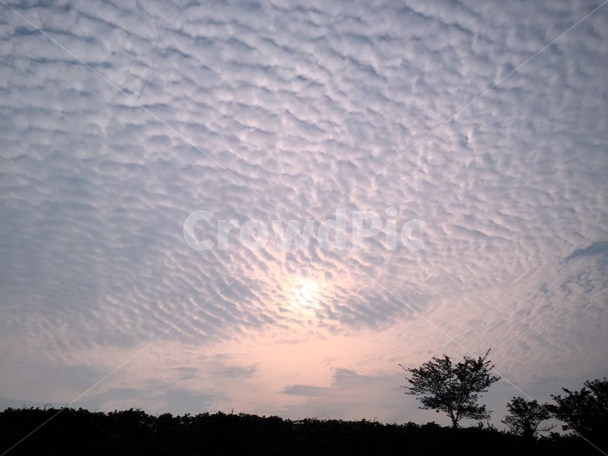 outdoors,sky,하늘,노을,구름,cloud,풍경,자연,풍경,nature,landscape