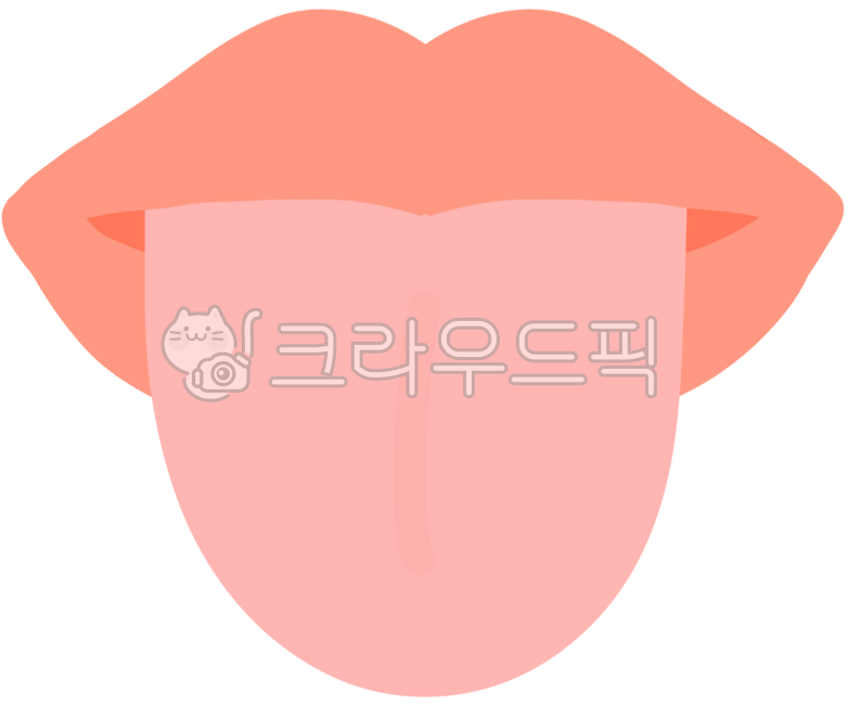 혀, 구강구조, 입, 입체, 장기, 사진,이미지,일러스트,캘리그라피 - Clouddalok작가