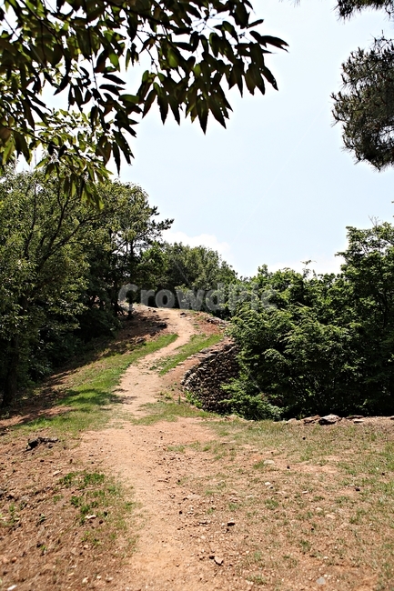 전등사,성곽,돌담,길,전등사둘레길,풍경