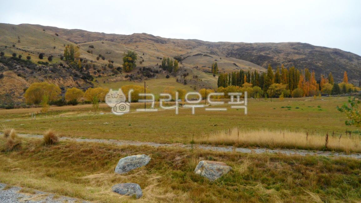 뉴질랜드,배경,자연풍경,언덕,자연,경치,잔디,옥외,목초지,고원,하늘,산맥,자연경관,야외,경작지,newzealand,background,mountain,nature,landscape,grass,meadow,outdoors,grassland,plateau,sky,mountainrange,naturallandscape,outdoor,cropland,arrowtown