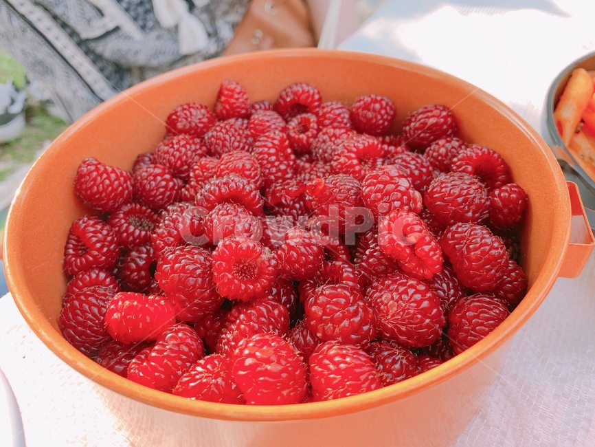 라즈베리,산딸기,과일,fruit,raspberry,음식