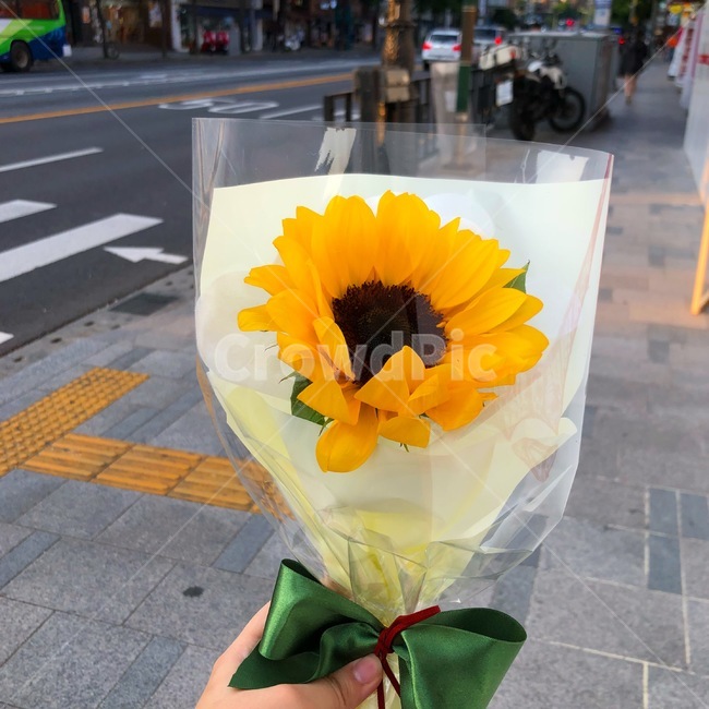 해바라기,꽃,꽃다발,선물,노란색