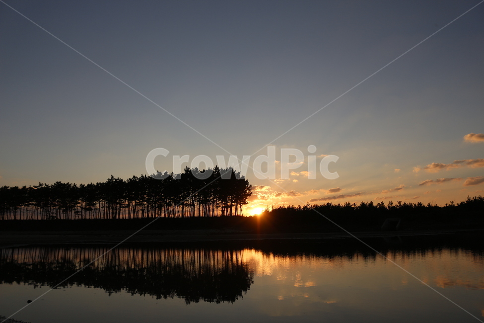 노을,나무,해,하늘,태양,자연,풍경,nature,landscape,실루엣,그림자,silhouette,shadow,outdoors,옥외,sky,dusk,황혼,sunset,일몰,dawn,새벽,red sky,붉은 하늘