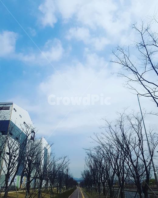 하늘,파란하늘,맑은하늘,높은하늘,구름,겨울,계절,winter,season