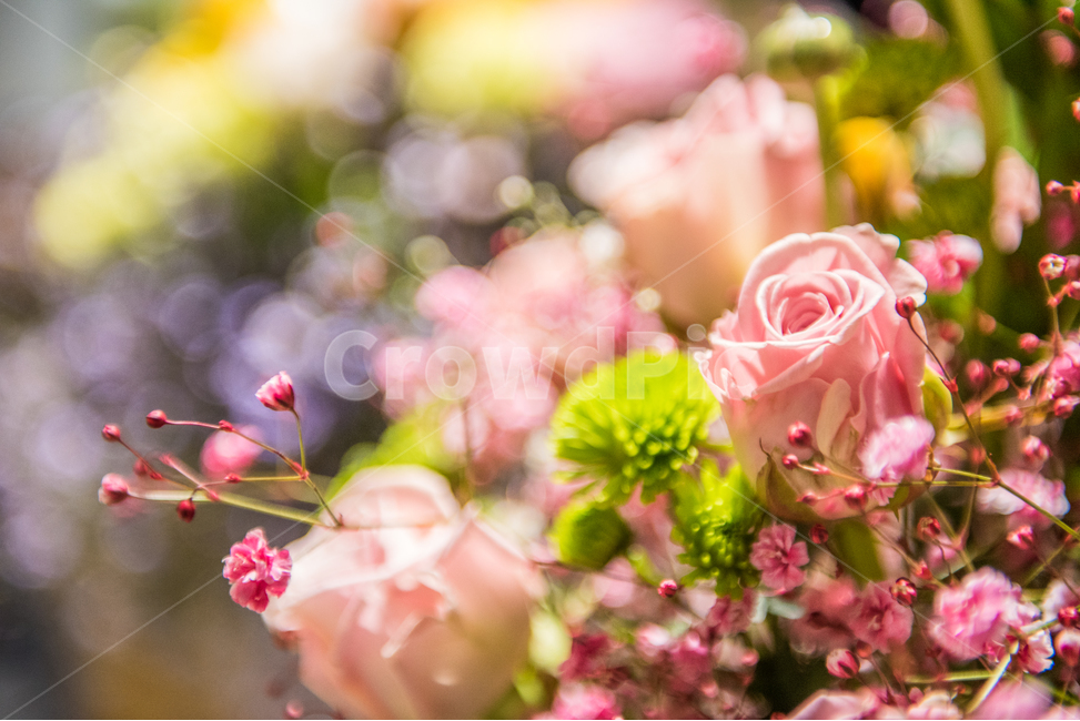 꽃,FLOWERS,꽃꽂이,핸드메이드,HANDMADE,COLORS,식물,자연,plants,nature,꽃,flower,기념일,축하,anniversary,congratulation,celebrate,celebration,감성,sensible,feeling