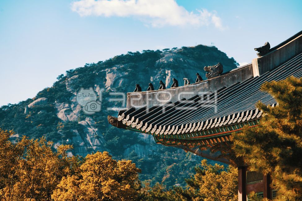 경복궁,단풍,궁,고궁,기와,단청,풍경,궁궐,한옥,전통,가을,배경화면,바탕화면,wallpaper,산,한국전통,한국문화,korean traditional,korean culture,건축물,건물외관,exterior,building,structure,architecture,construction