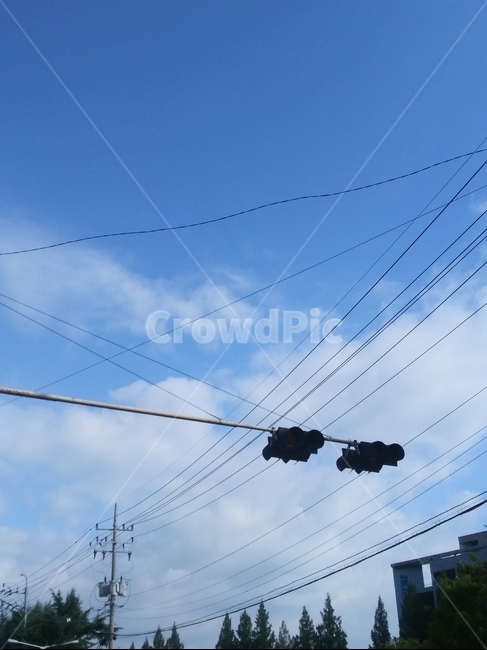 신호등,powerlines,전선,맑음,하늘