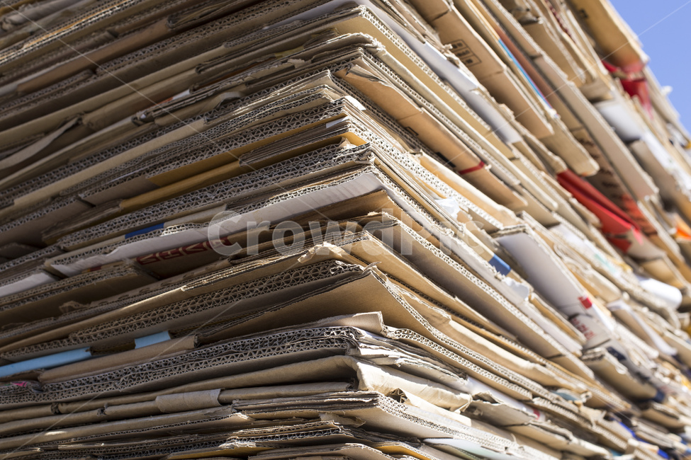 폐지,박스,종이,재활용,자원,상자,수거,paper,쓰레기