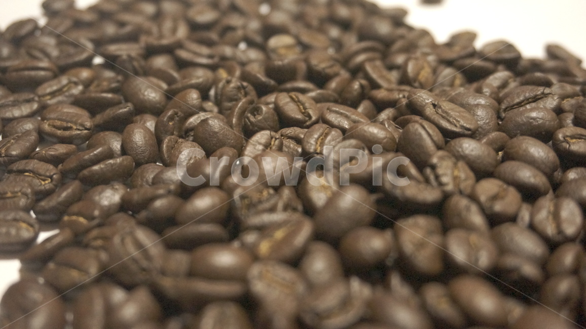 원두,원두커피,로스팅,커피,cafe,드립커피,스코트레버러토리,워시드방식,커피,카페,coffee,cafe