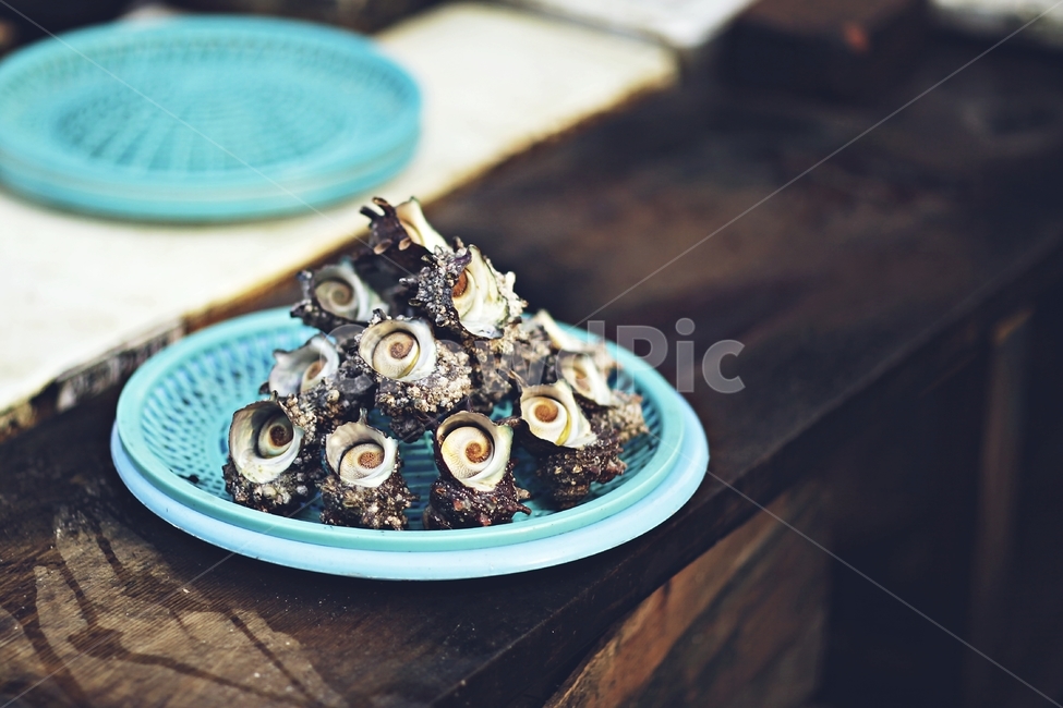 해산물,고둥,gastropods,수산물,어시장,음식,식재료,요리,food,cook,meal,dishes,food reserves