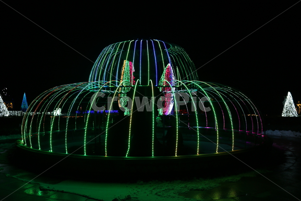 분수대,분수,야경,빛,불빛,조명,빛축제,야경,밤,풍경,nightscape,night,landscape,축제,행사,festival,carnival,event,water,물,fountain