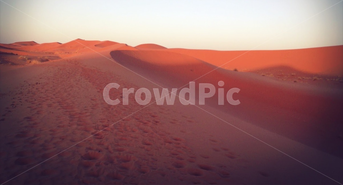 사막,사하라,풍경,여름,모로코,desert,sahara,morocco,summer,자연,풍경,nature,landscape,해외,외국,세계,foreign,oversea,world,세계자연풍경,해외자연풍경,외국자연풍경,world nature landscape,soil,흙,outdoors,옥외,sand,모래