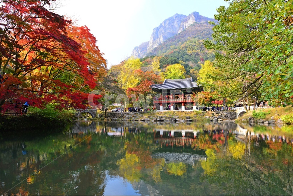 장성,백양사,백암산,추색,백양사가을,가을,계절,추경,단풍,연못,반영,단풍잎,만추,plant,식물,tree,나무,nature,자연,water,물,outdoors,옥외,쌍계루,가을,계절,fall,autumn,season