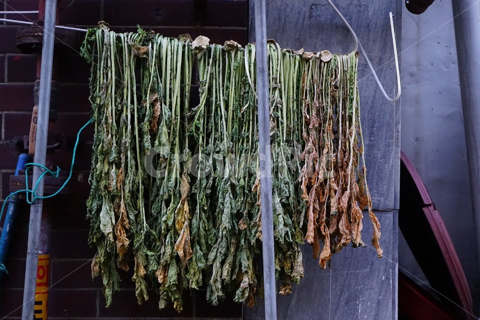 시레기,무우청,건조,식품,전통식재료,ingredient,traditionalingredient,dry,radish,radishleaf,food,koreaningredient,음식,식재료,요리,food,cook,meal,dishes,food reserves