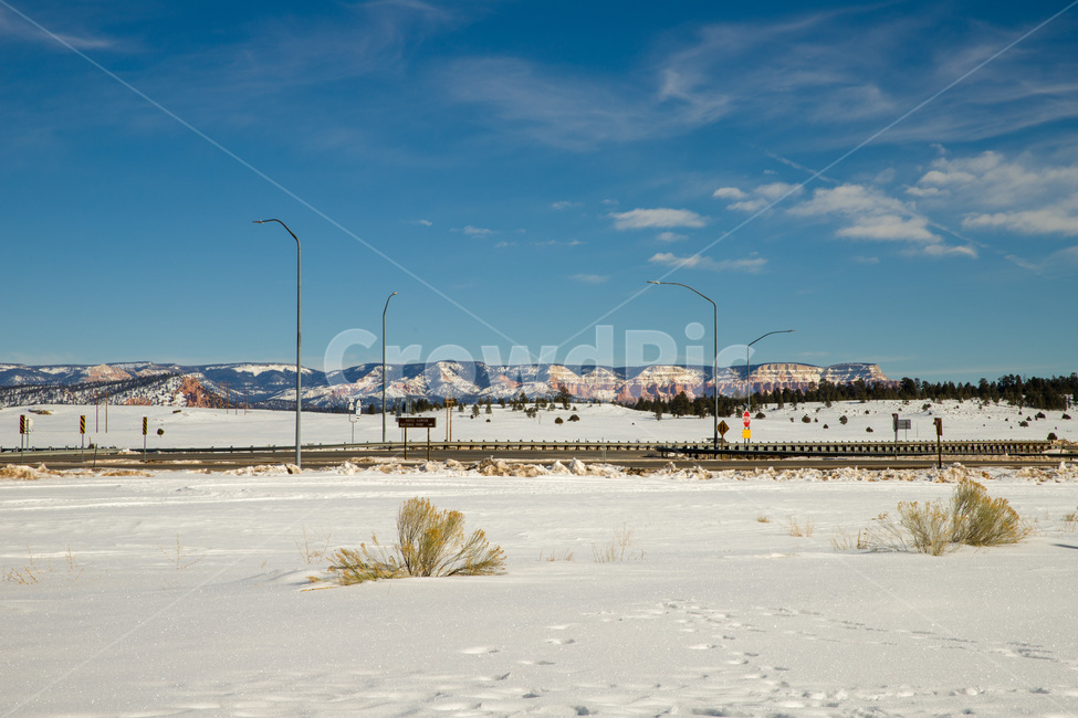 rural,natural,wood,background,beautiful,blue,cold,forest,frost,ice,landscape,light,mountain,nature,outdoor,park,scenic,season,sky,snow,sun,sunlight,sunny,tree,trees,usa,utah,view,white,winter,미국,유타,눈,겨울,자연,나무,야외,숲