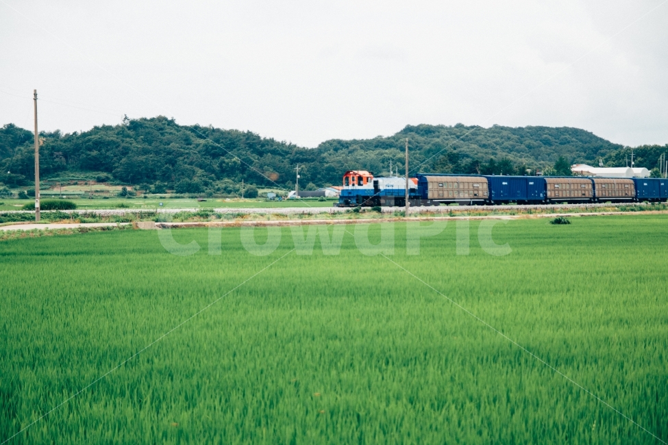 농촌,기차,풍경,여행,여름,시골,마을,풍경,landscape,country,rural,town,감성,sensible,feeling,교통,교통수단,traffic,transportation,nature,자연