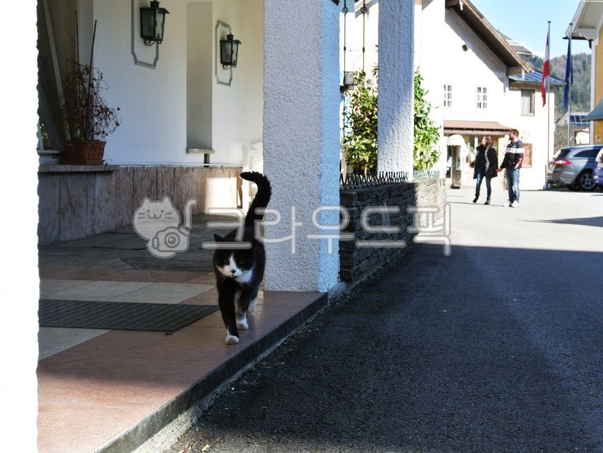 오스트리아,관광,유럽,해외,중세건축,주택,마을,유럽마을,관광지,할슈타트마을,hallstatt,austria,잘츠캄머굿