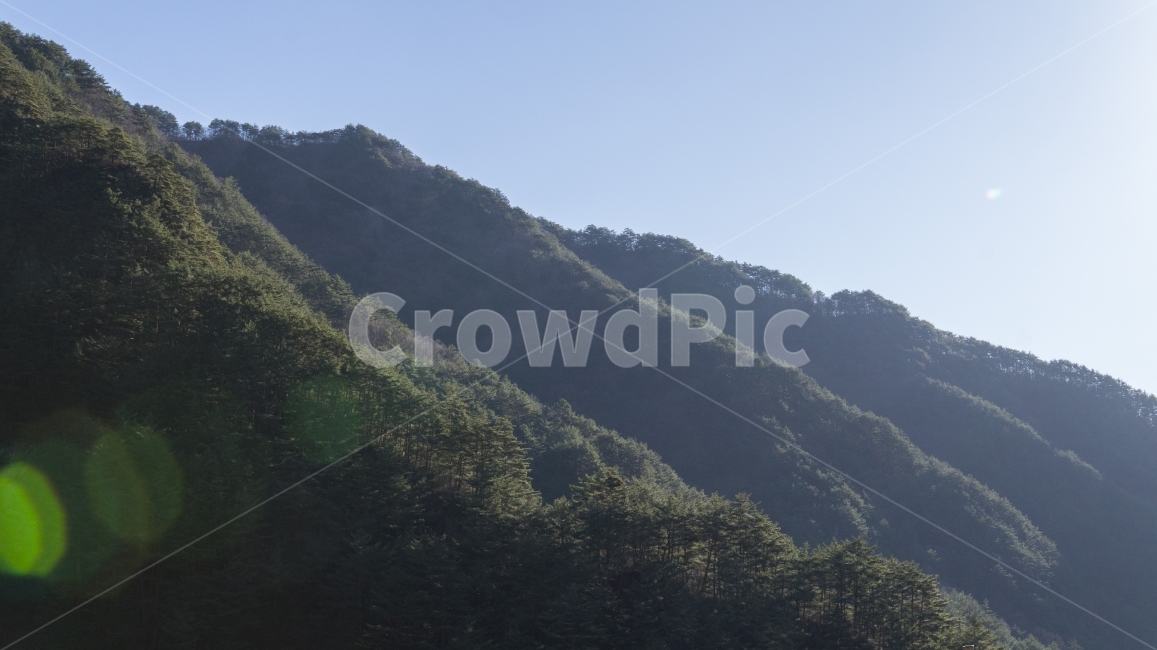 산,아침,햇살,녹음,캠핑,자연,풍경,nature,landscape,outdoors,옥외,hill,언덕