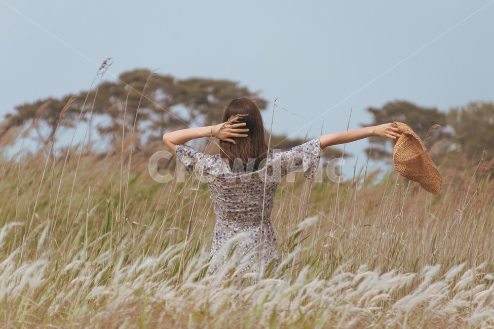 수섬,화성,갈대,여름갈대,뒷모습,사람,인물,인간,human,person,여성,여자,woman,female,lady