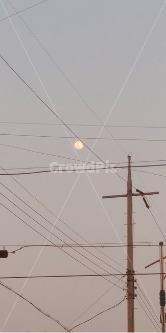 달,전봇대,초저녁,전깃줄,감성