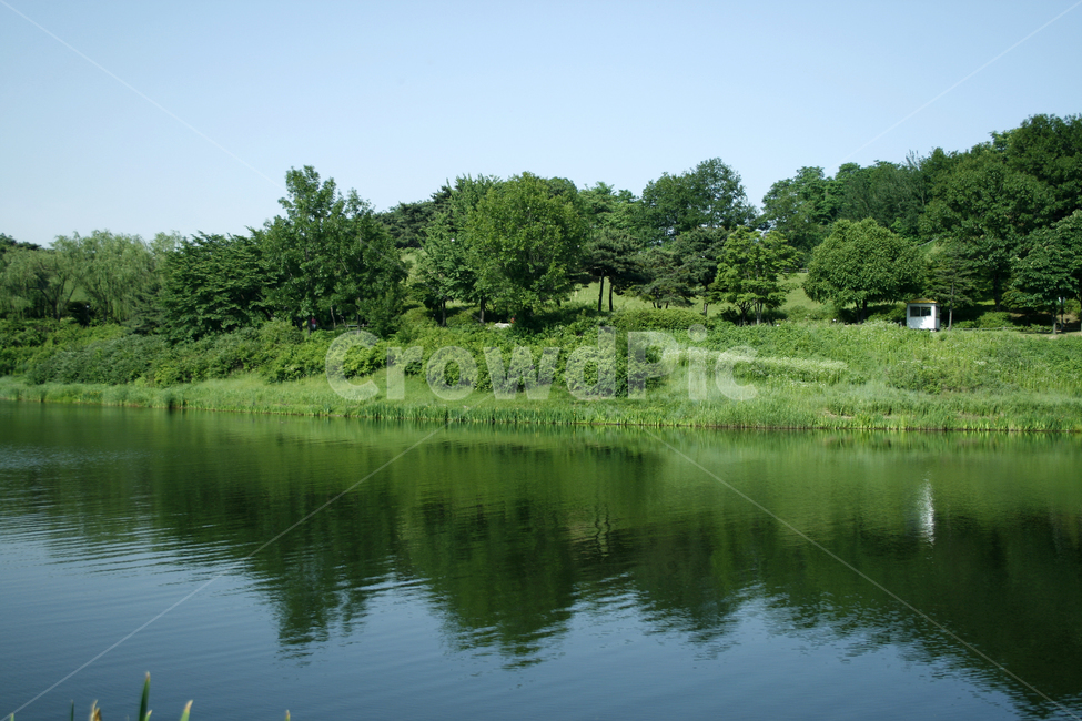 호수,여름,식물,물결,공원,초록,숲,파랑,컬러,자연,풍경,nature,landscape,water,물,outdoors,옥외,pond,못