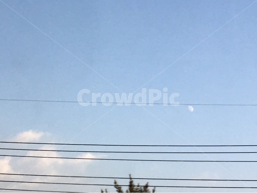 색감,감성사진,자연,휴식,힐링,감성,여름,느낌,배경,사진,달,전기줄,하늘,구름,맑음,나무,sensitive,film,moon,sky,sunny,clear,tree,cloud,color,feeling,picture
