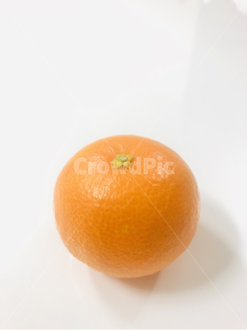 황금향,귤,orange,감귤류과일,과일,과일,열매,fruit