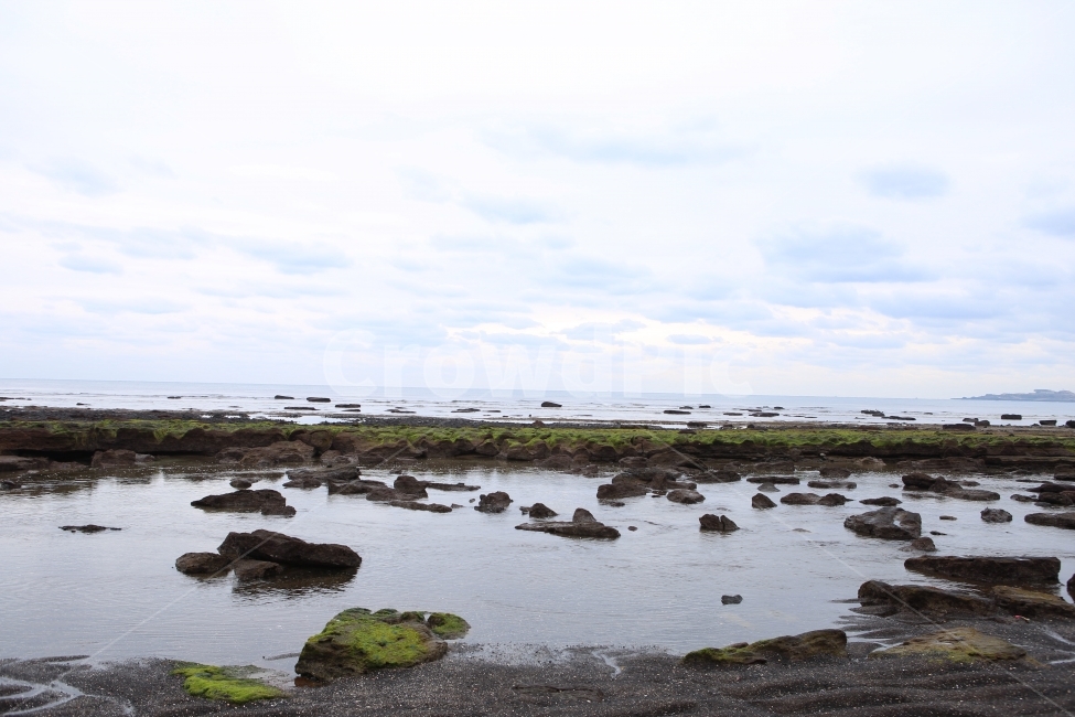 제주,광치기해변,제주앞바다,바다,자연,자연,풍경,nature,landscape,한국자연풍경,한국자연경관,korea nature landscape,해변,바다,beach,sea,제주도,jeju,jeju island,plant,식물