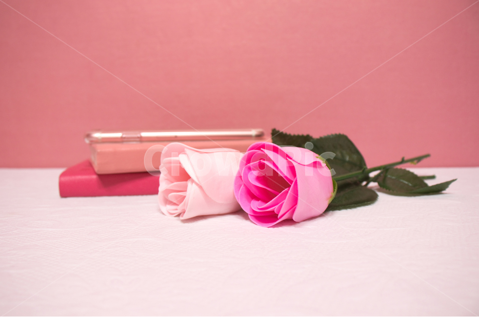 비누장미,비누꽃,꽃,장미,핑크,soapflower,핑크색,pink,분홍색,흰색,화이트,white,흰색배경,핑크배경,핑크색배경,장식,데코레이션,데코,decoration,decor,수첩,다이어리,비누,비누디자인,디자인,design,꽃비누,flower,soap,rose,꽃,flower,기념일,축하,anniversary,congratulation,celebrate,celebration,연출,컨셉,콘셉,direction,concept