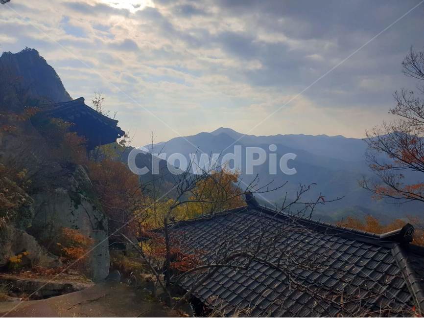 지붕,산사,단풍,가을,자연,절,풍경