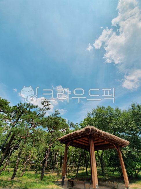 sky,heat,forest,Namsan,shelter,porch,hut,clear,clouds,Hanok village,trees,summer,patio,sunlight,courtyard,grass,land,season,entrance,landscape