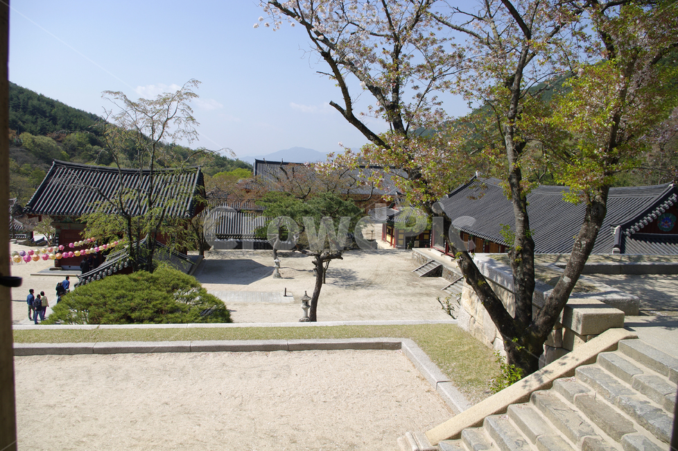 건축,화엄사,사찰,절,지붕,traditional,전통,기와지붕,한국전통,한국문화,korean traditional,korean culture,종교,신앙,religion,belief,faith,건축물,건물외관,exterior,building,structure,architecture,construction
