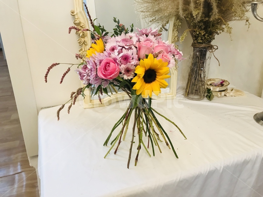 plant,식물,꽃,flower,꽃꽂이,식물,자연,plants,nature,꽃,flower