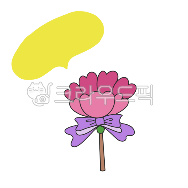 family month,carnation,Mothers Day,flower