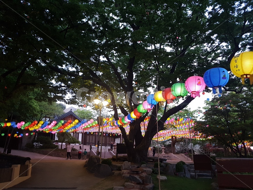 연등,초파일,석가탄신일,길상사,절,사찰,lotuslantern
