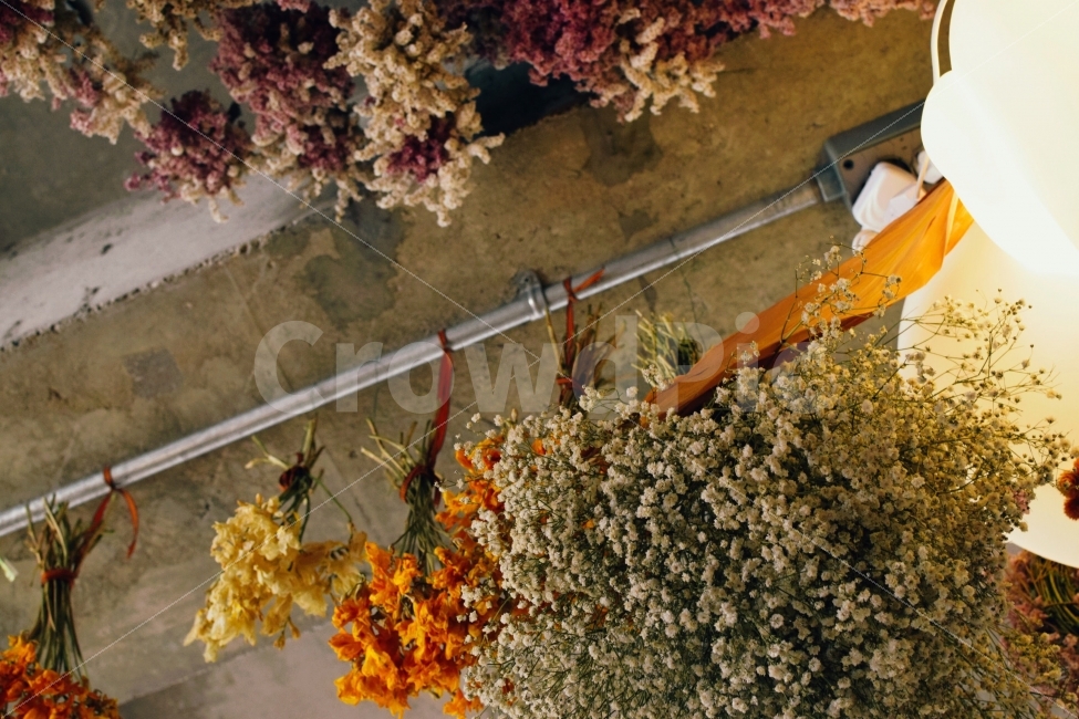 꽃,드라이플라워,꽃다발,인테리어,로맨틱,식물,자연,plants,nature,꽃,flower,인테리어,실내디자인,interior design