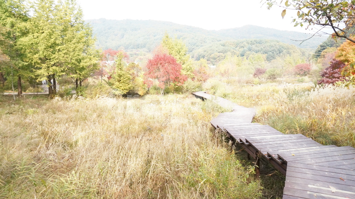 포천,산사원,풍경,정원,공원,나무