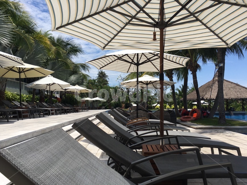 선베드,썬베드,sunbed,수영장,휴양지,리조트,야외수영장,여름,계절,summer,season,여행,휴가,traveling,vacation,trip