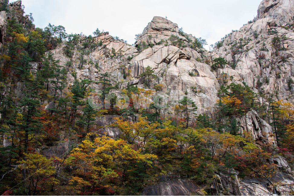 설악산,국립공원,가을,단풍,천불동계곡,화채능선,기암괴석,가을,계절,fall,autumn,season,자연,풍경,nature,landscape,한국자연풍경,한국자연경관,korea nature landscape,cliff,낭떠러지,outdoors,옥외