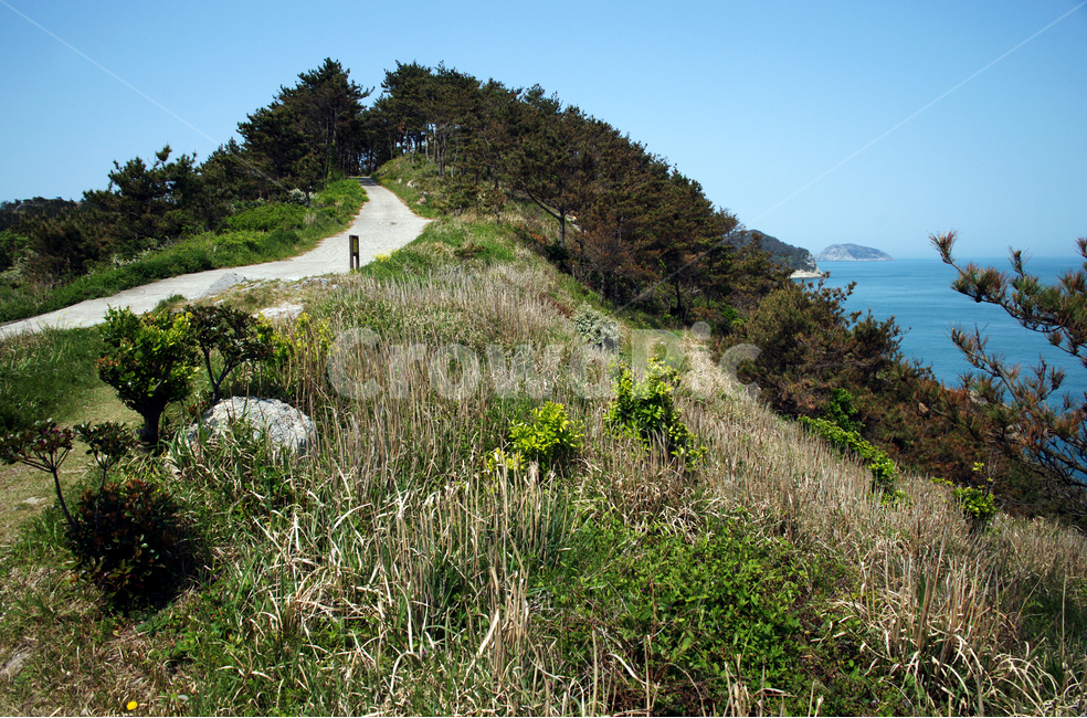 추자도,올레181코스,섬,올레코스,제주,바다,상추자도,봉글레산,자연,풍경,nature,landscape,한국자연풍경,한국자연경관,korea nature landscape,제주도,jeju,jeju island,outdoors,옥외
