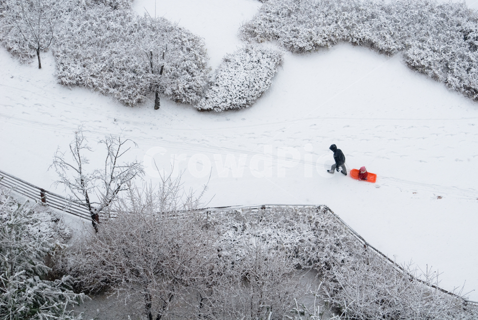 겨울,눈썰매,감성,하얀색,겨울풍경,nature,자연,outdoors,옥외,snow,눈