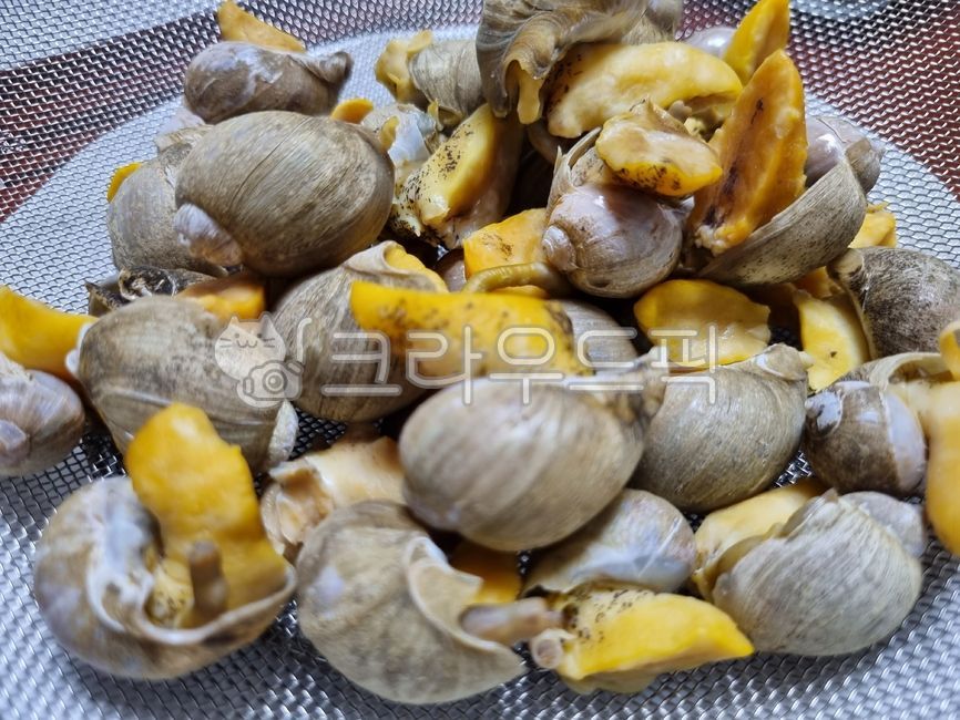 conch,snail,seashell,turbanshell,clamshell,sea snail,cookingmaterial,seasnail,Whitenecked guy,Food Ingredients,escargot,ingredients,foodmaterial,seafood,beating,spiralshellfish,Whelk,cooking ingredients,food,shellfish,shell,seafoodproducts,clam,topshell,f