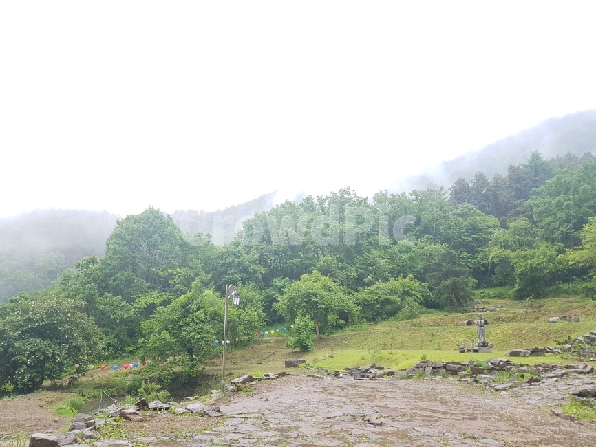 비오는날,자연,산림욕,깊은산속,절,rain,rainyday,buddhisttemple,greenshower,forestbath,mountain