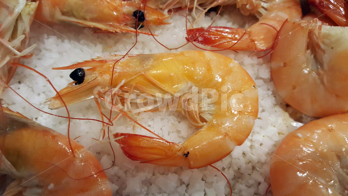 새우구이,소금구이,새우,소금,신선함,해산물,갑각류,음식재료,굽기,요리하기,음식,잘익은,포커스,검정,주황색,열,단백질