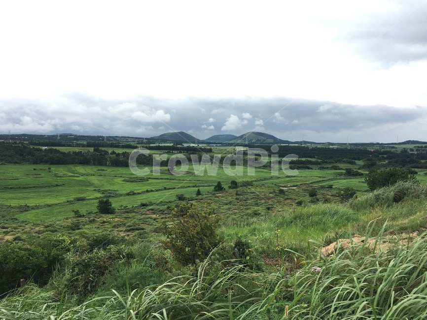 자연,nature,잔디,제주도,오름,자연,풍경,nature,landscape,outdoors,옥외