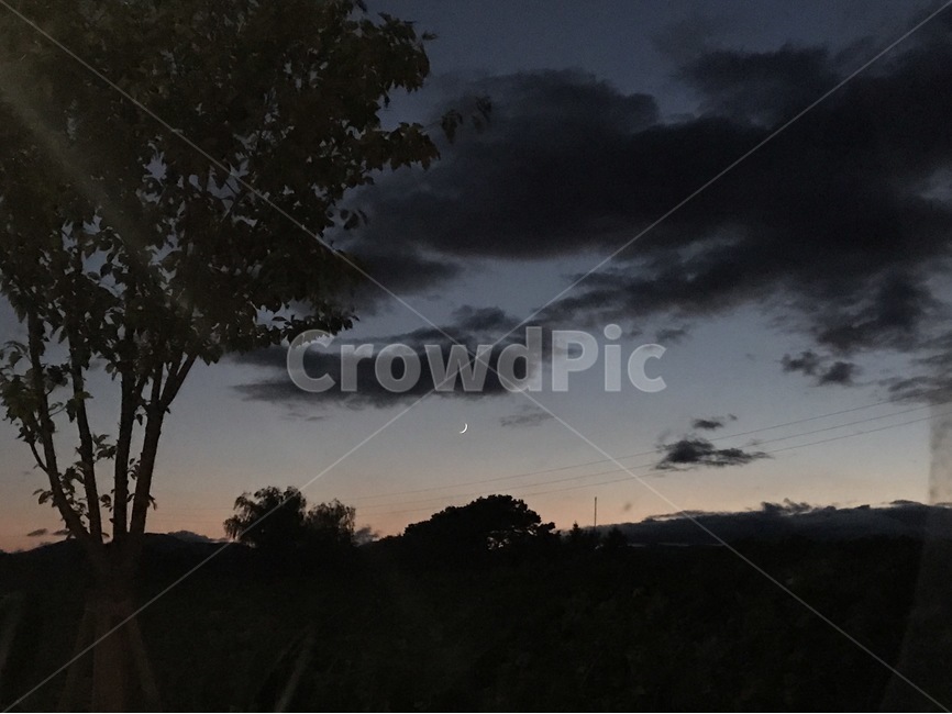 노을,나무,하늘,구름,달,sunset,tree,sky,cloud,moon,저녁