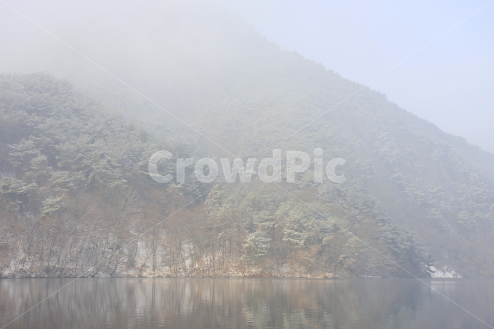 의림지,용두산,소나무,나무,자연,겨울,계절,winter,season,자연,풍경,nature,landscape,한국자연풍경,한국자연경관,korea nature landscape,weather,날씨,outdoors,옥외