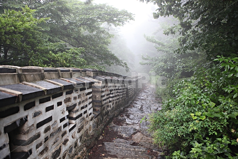 남한산성,성,성곽,둘레길,길,숲,숲길,안개,돌담,담